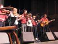 The Possum Holler Fiddlers